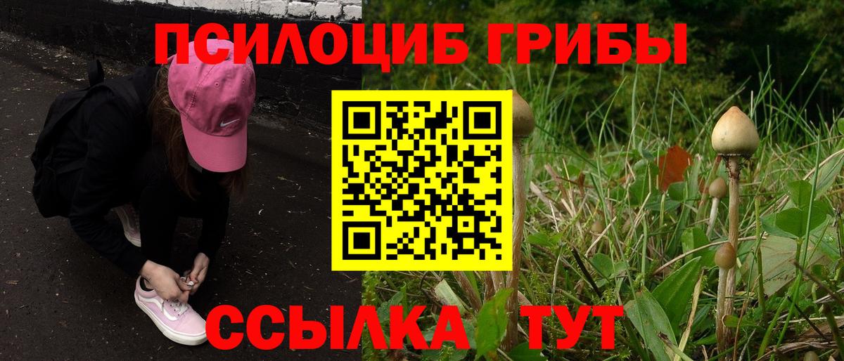 Псилоцибиновые грибы прущие грибы Унеча
